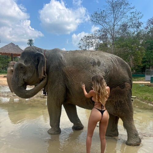 SOZZLEPOPP / devilfairyyy Nude Leaked Onlyfans Photo SOZZLEPOPP / devilfairyyy Nude Leaked Onlyfans Photo