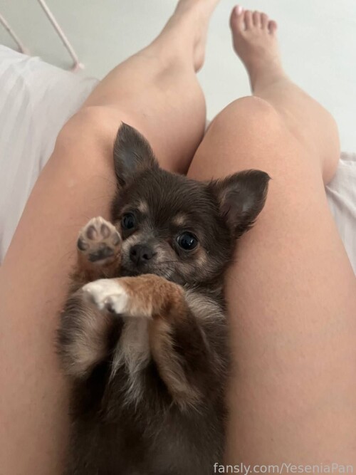 YeseniaPan Nude Leaked Onlyfans Photo YeseniaPan Nude Leaked Onlyfans Photo