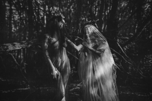Icelandic Selkie Nude Leaked Onlyfans Photo Icelandic Selkie Nude Leaked Onlyfans Photo