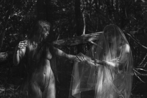 Icelandic Selkie Nude Leaked Onlyfans Photo Icelandic Selkie Nude Leaked Onlyfans Photo