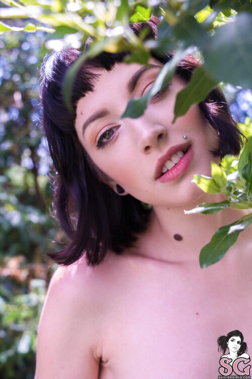 MissFernandez Nude Leaked Onlyfans Photo MissFernandez Nude Leaked Onlyfans Photo