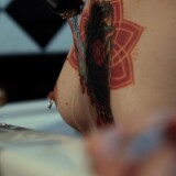 518a603221527db166