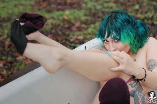 53682f2da956eeec4e.jpg
