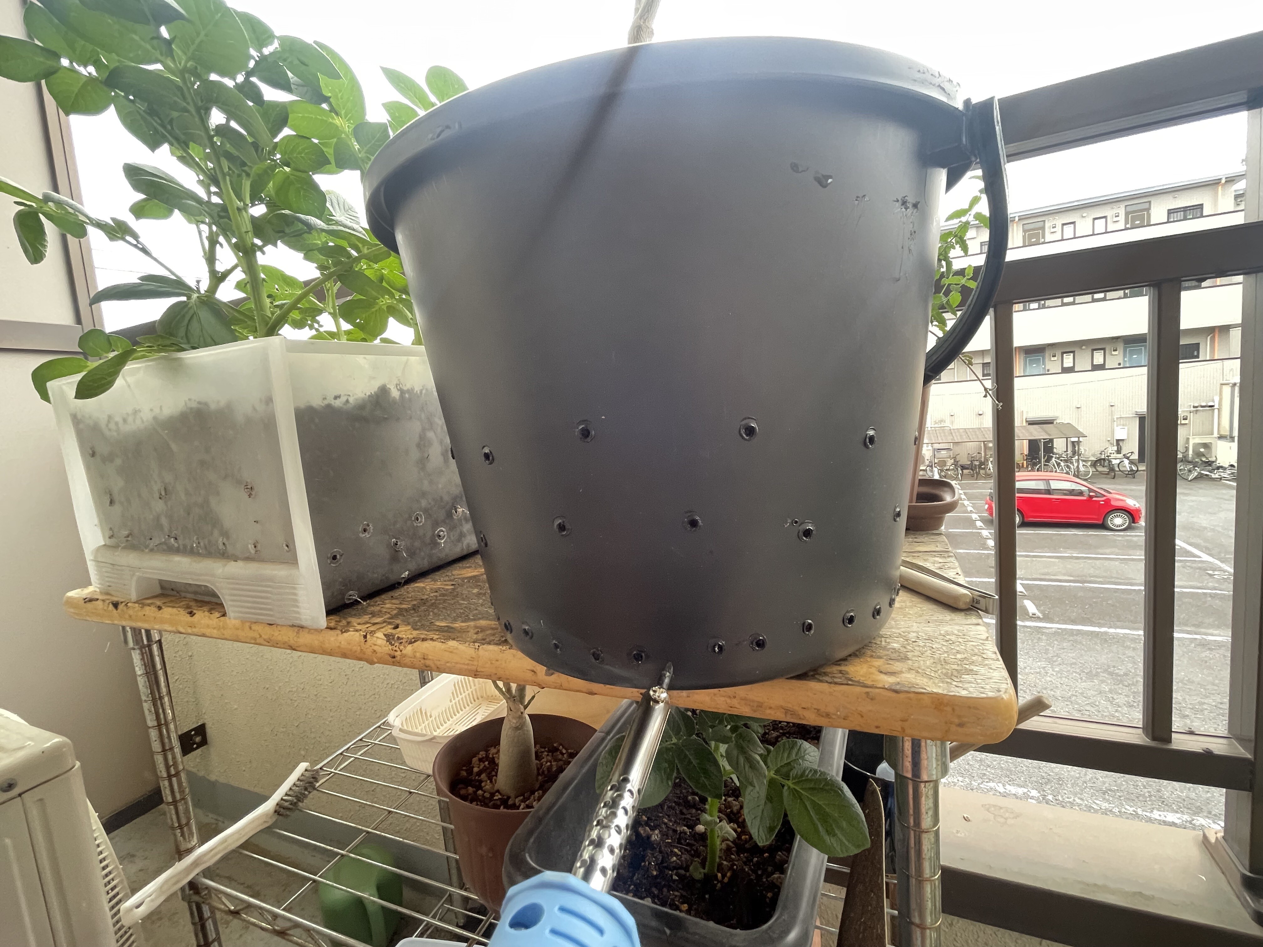 5bucket