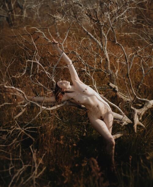 Icelandic Selkie Nude Leaked Onlyfans Photo Icelandic Selkie Nude Leaked Onlyfans Photo