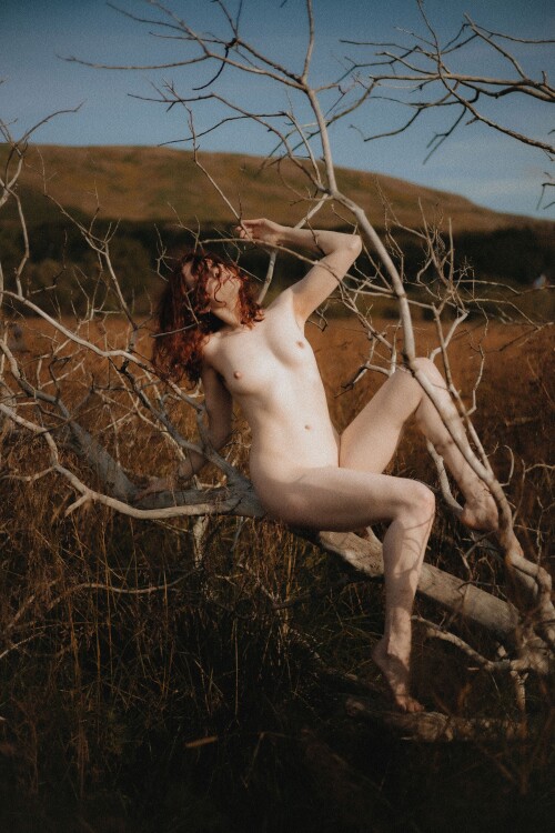 Icelandic Selkie Nude Leaked Onlyfans Photo Icelandic Selkie Nude Leaked Onlyfans Photo