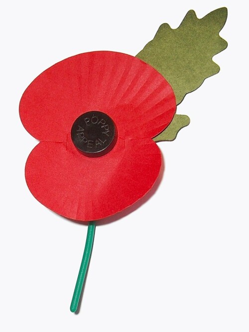 800px-Royal_British_Legions_Paper_Poppy_-_white_background-768x1024a410eebddadad625.jpg