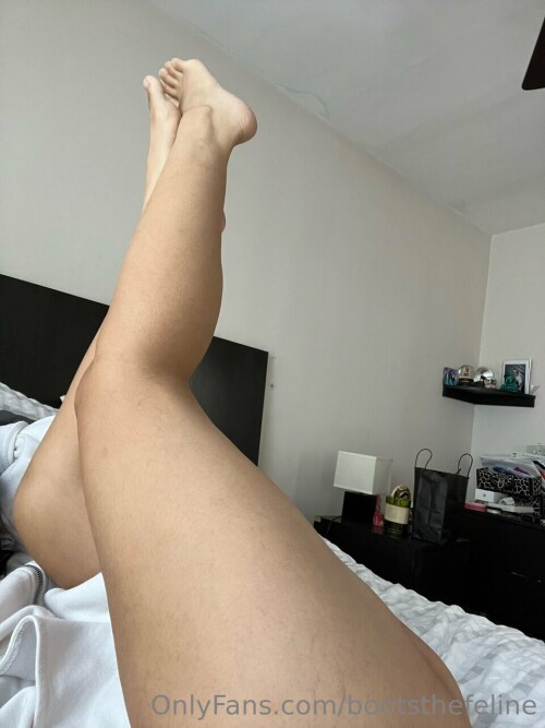 bootsthefeline Nude Leaked Onlyfans Photo bootsthefeline Nude Leaked Onlyfans Photo