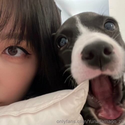 YunaTamago_zz | Yuna Tamago Nude Leaked Onlyfans Photo YunaTamago_zz | Yuna Tamago Nude Leaked Onlyfans Photo