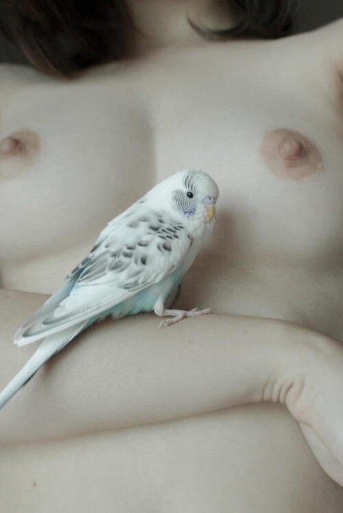 Littlebirdbaby Nude Leaked Onlyfans Photo