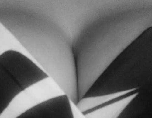fuxxyandfluffer Nude Leaked Onlyfans Photo fuxxyandfluffer Nude Leaked Onlyfans Photo