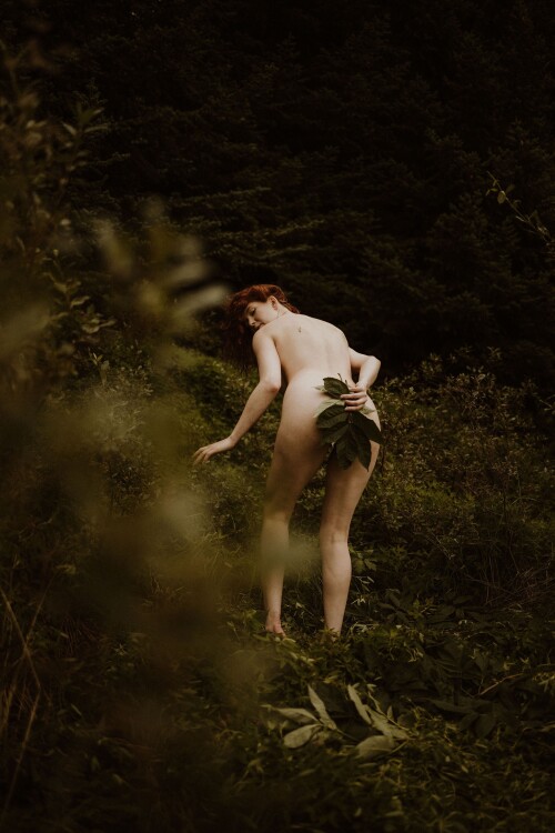 Icelandic Selkie Nude Leaked Onlyfans Photo Icelandic Selkie Nude Leaked Onlyfans Photo
