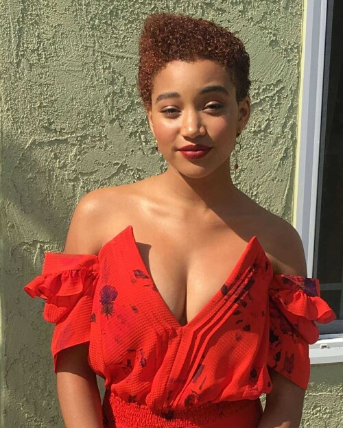 Amandla-Stenberg-69a0ced7fe55a1e4f.jpg