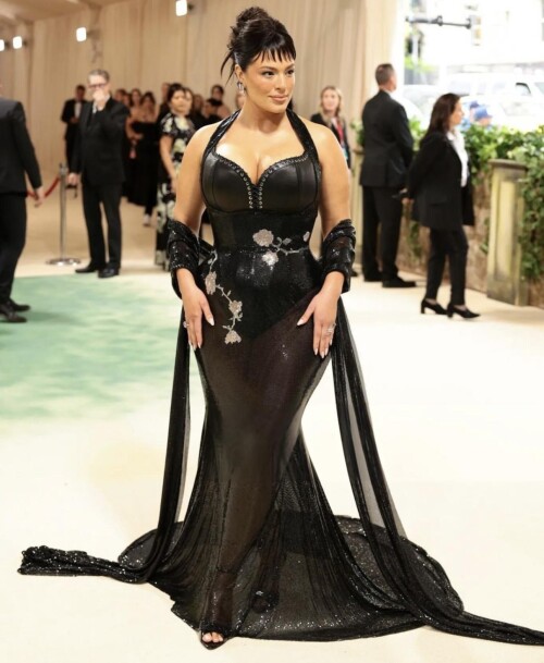 Ashley-attending-the-Met-Gala-5624-117a39537f3bd04e7.jpg