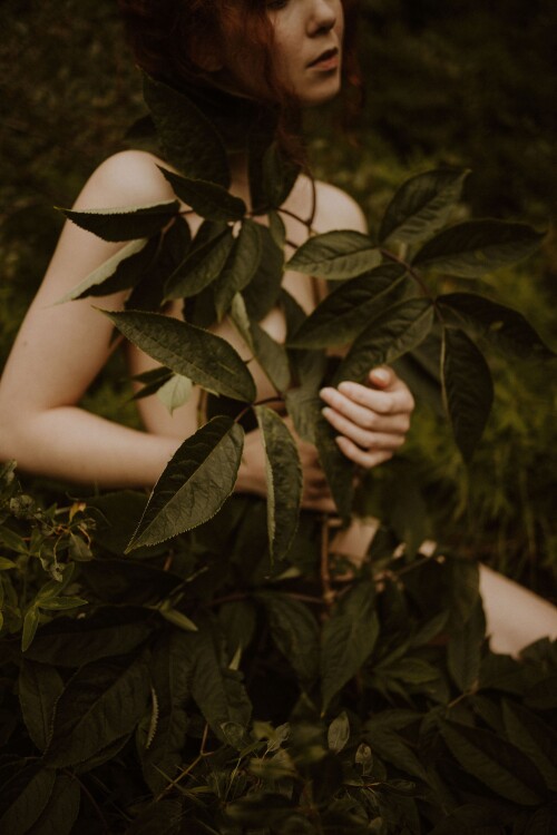 Icelandic Selkie Nude Leaked Onlyfans Photo Icelandic Selkie Nude Leaked Onlyfans Photo