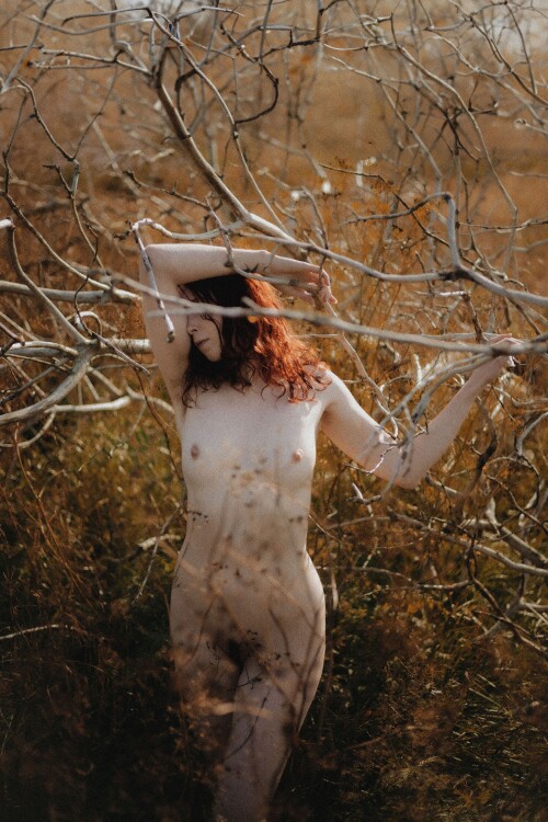 Icelandic Selkie Nude Leaked Onlyfans Photo Icelandic Selkie Nude Leaked Onlyfans Photo