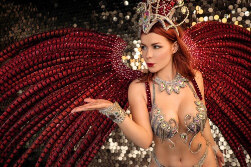 Carnival63c8b7f69ea208f8.jpg