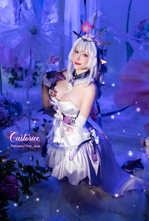 Castorice-T2-044528e51e729bd541.jpg
