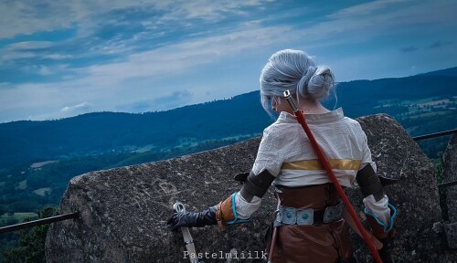 Ciri-back-65a075d52a3925763.md.jpg