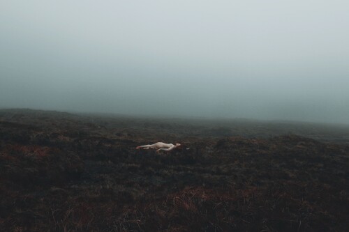 Icelandic Selkie Nude Leaked Onlyfans Photo Icelandic Selkie Nude Leaked Onlyfans Photo
