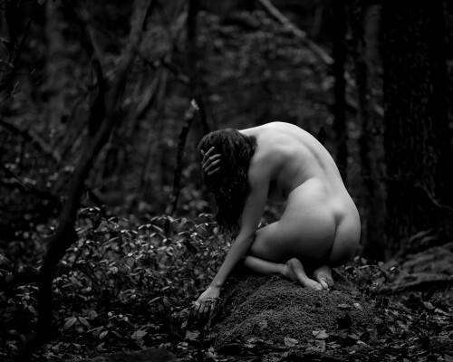 Icelandic Selkie Nude Leaked Onlyfans Photo Icelandic Selkie Nude Leaked Onlyfans Photo