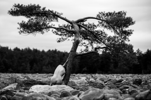 Icelandic Selkie Nude Leaked Onlyfans Photo Icelandic Selkie Nude Leaked Onlyfans Photo