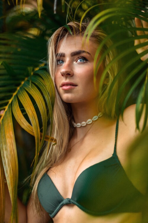 Daniqueplant2v25beb0b25f0f773f9f.md.jpg