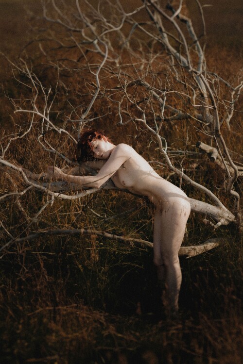 Icelandic Selkie Nude Leaked Onlyfans Photo Icelandic Selkie Nude Leaked Onlyfans Photo