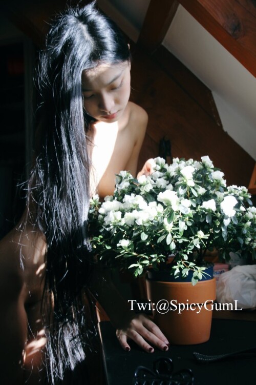 June Liu / SpicyGum Nude Leaked Onlyfans Photo June Liu / SpicyGum Nude Leaked Onlyfans Photo