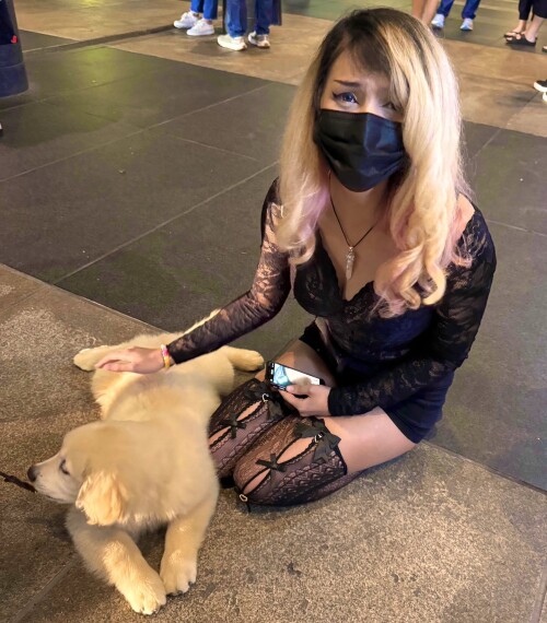 GYMY9M_akAA-N5ze3576e08b667ec11.md.jpg