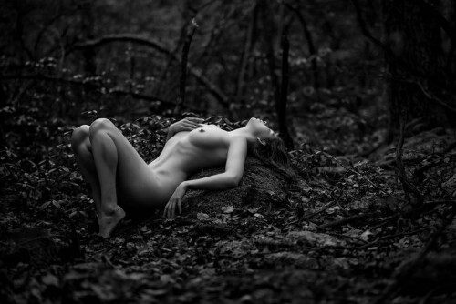 Icelandic Selkie Nude Leaked Onlyfans Photo Icelandic Selkie Nude Leaked Onlyfans Photo