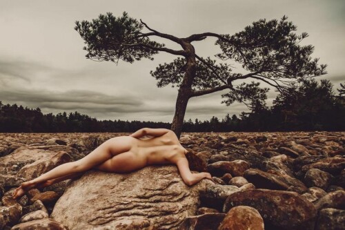 Icelandic Selkie Nude Leaked Onlyfans Photo Icelandic Selkie Nude Leaked Onlyfans Photo