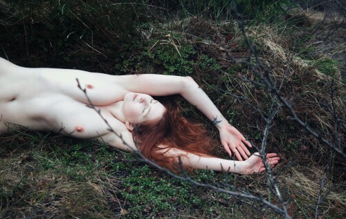 Icelandic Selkie Nude Leaked Onlyfans Photo Icelandic Selkie Nude Leaked Onlyfans Photo