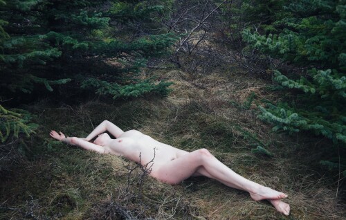 Icelandic Selkie Nude Leaked Onlyfans Photo Icelandic Selkie Nude Leaked Onlyfans Photo