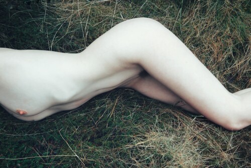 Icelandic Selkie Nude Leaked Onlyfans Photo Icelandic Selkie Nude Leaked Onlyfans Photo