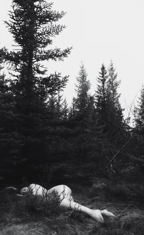 Icelandic Selkie Nude Leaked Onlyfans Photo Icelandic Selkie Nude Leaked Onlyfans Photo