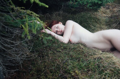 Icelandic Selkie Nude Leaked Onlyfans Photo Icelandic Selkie Nude Leaked Onlyfans Photo