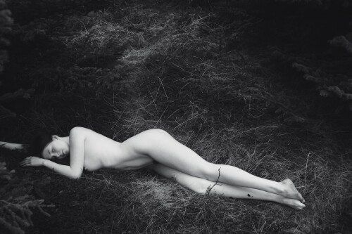 Icelandic Selkie Nude Leaked Onlyfans Photo Icelandic Selkie Nude Leaked Onlyfans Photo