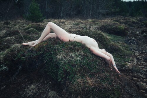 Icelandic Selkie Nude Leaked Onlyfans Photo Icelandic Selkie Nude Leaked Onlyfans Photo