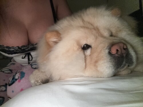 Emma Lvxx | bunni.emmie | emma.lvxx Nude Leaked Onlyfans Photo