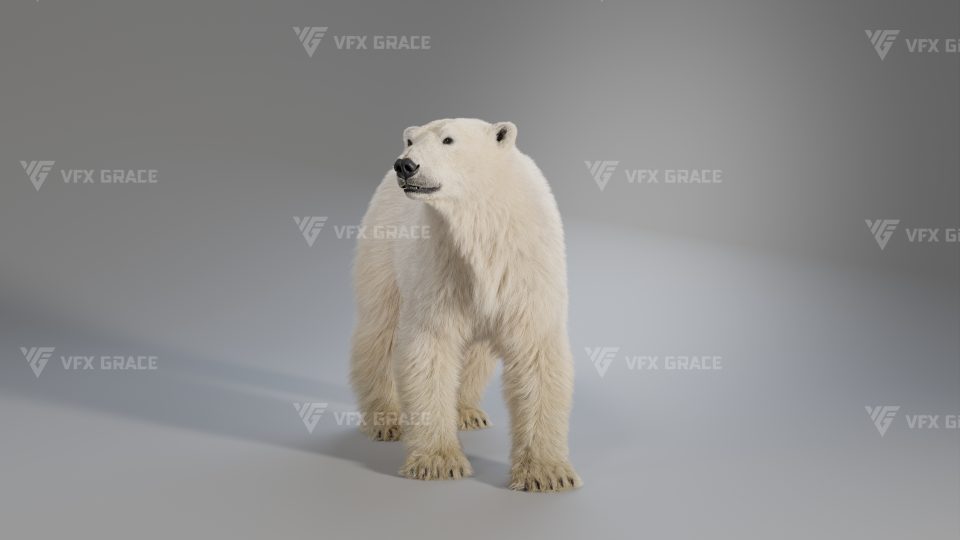 JF0O8Z0B PolarBear Effect map04
