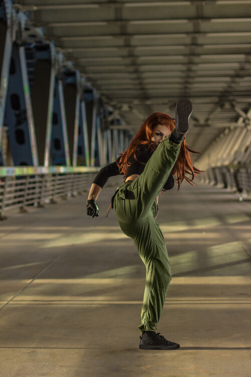 Kim-Possible-4a334bf9b327cf0ee.jpg