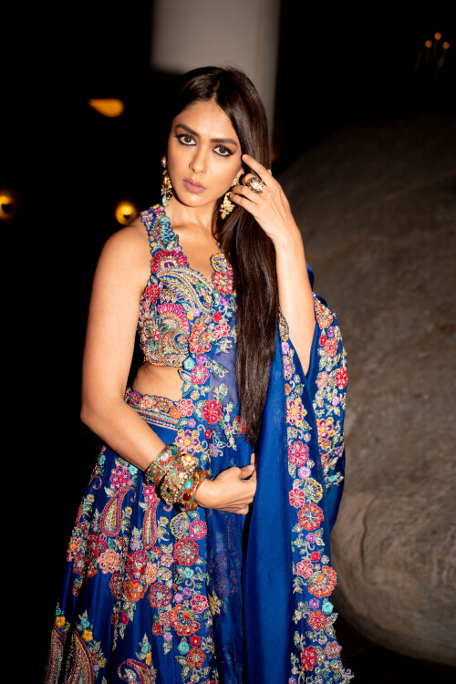 Mrunal-thakur5731e572ef46962e9.jpg