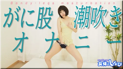NYOSHIN-N1929748ad715ba57eedc.webp