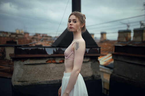 Pocrov.Alice.on.the.Roof.013cc517f7125a619aa.jpg