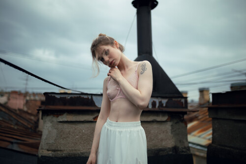 Pocrov.Alice.on.the.Roof.0141548a4316fe5e8d9.jpg