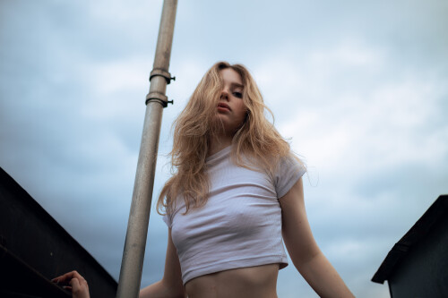 Pocrov.Alice.on.the.Roof.02406600148225424d3.jpg