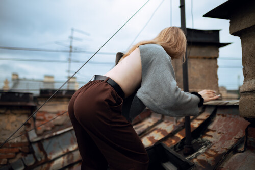 Pocrov.Alice.on.the.Roof.031ba9e02999c54ca41.jpg