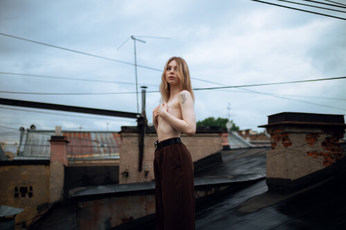 Pocrov.Alice.on.the.Roof.032afa291ea235d887d.jpg