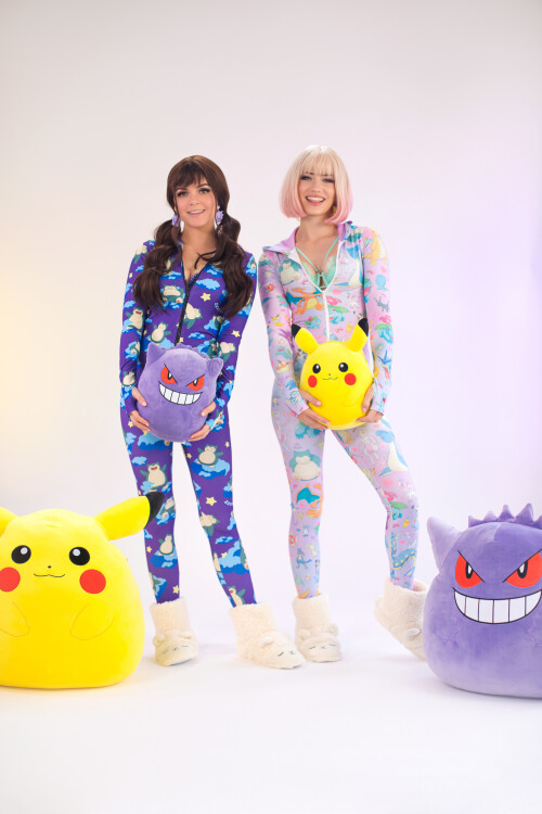 Pokemon-Pals-1d46f7130c89a497c.jpg